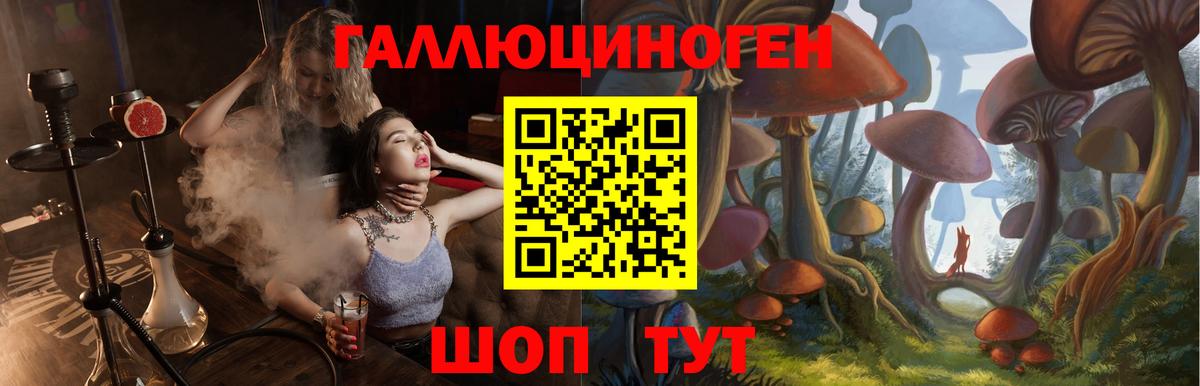Псилоцибиновые грибы GOLDEN TEACHER Узловая