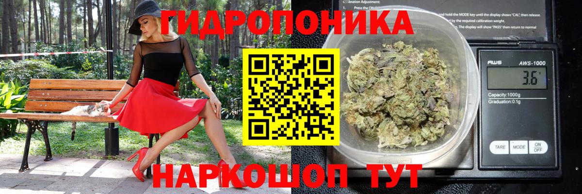 Узловая  МАРИХУАНА марихуана  Шишки марихуана White Widow  МАРИХУАНА марихуана  Вход с VPN  Канабис OG Kush 